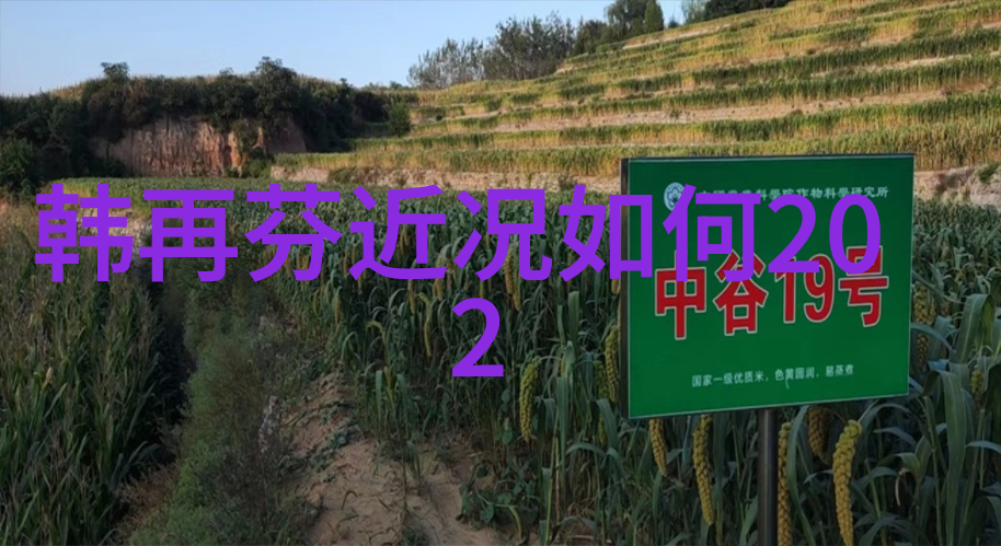 黄梅戏演员江敏介绍