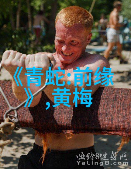 黄梅戏蓝桥会