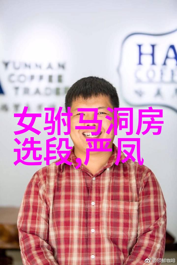 黄梅戏陈州怨