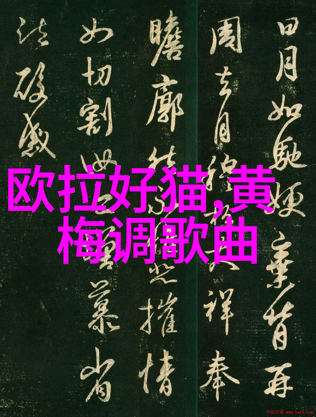 黄梅戏的发展历史情况