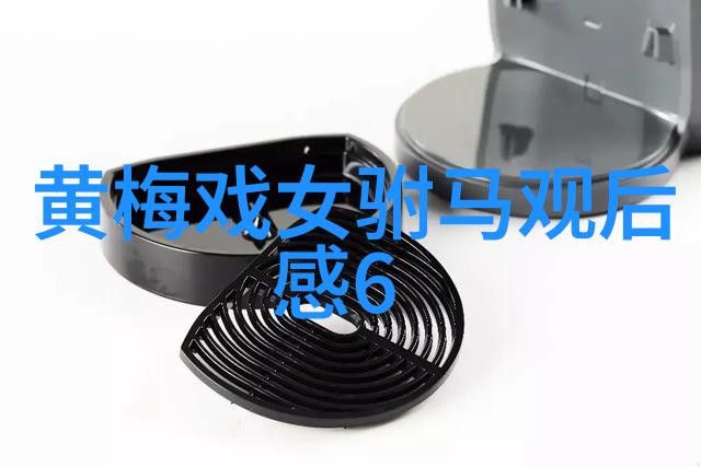 黄梅戏风雨丽人行启动