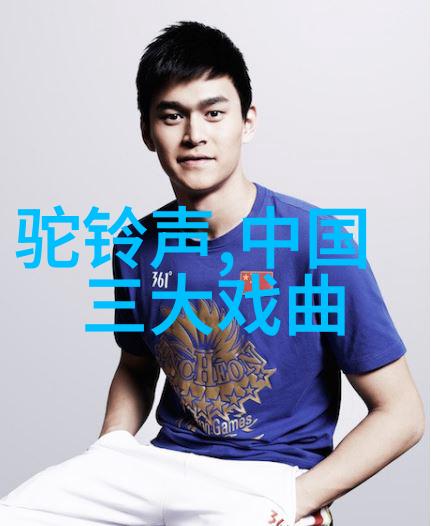 黄梅戏借官记