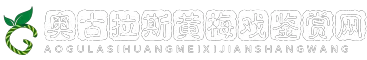 奥古拉斯黄梅戏鉴赏网